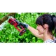Einhell GE-GS 18 Li-Solo pruning shears Bypass Black, Red Einhell GE-GS 18 Li-Solo pruning shears Bypass Black, Red