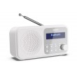 Sharp DR-P420 Portable Digital White