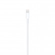 Apple Lightning to USB Cable (1m) Apple Lightning to USB Cable (1m)