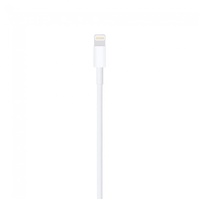 Apple Lightning to USB Cable (1m) Apple Lightning to USB Cable (1m)