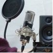 Monkey Banana Hapa Black Table microphone