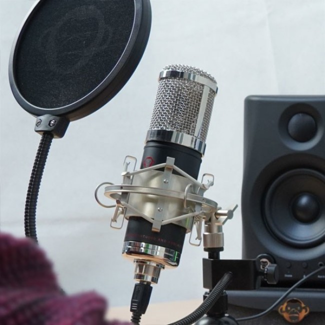 Monkey Banana Hapa Black Table microphone