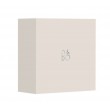 Bang & Olufsen BeoSound A1 3rd Gen Stereo portable speaker Green 60 W
