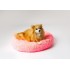 GO GIFT Shaggy pink L - pet bed - 66 x 66 x 10 cm