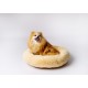 GO GIFT Shaggy cream M - pet bed - 57 x 57 x 10 cm