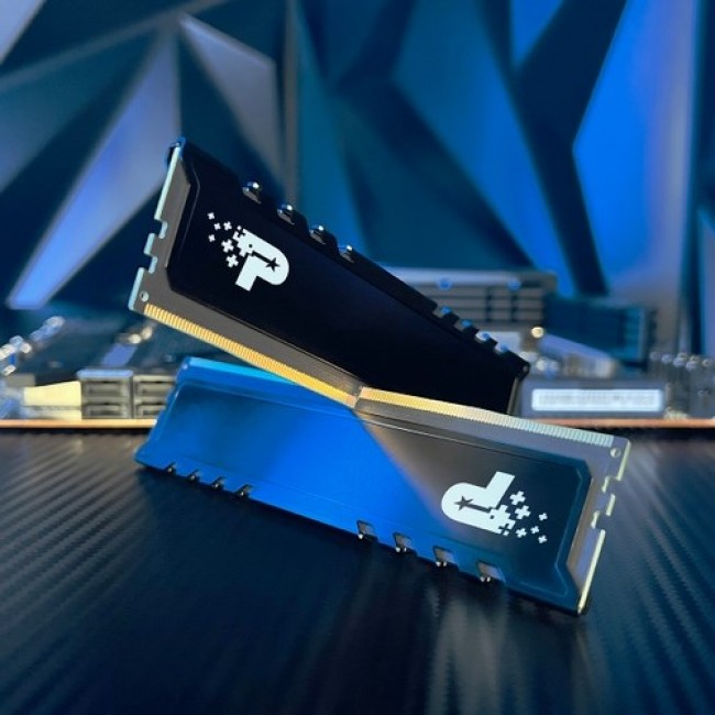 Memory module PATRIOT SIGNATURE PREMIUM DDR5 24GB 5600MHz 1 Rank (PSP524G560081H1) Memory module PATRIOT SIGNATURE PREMIUM DDR5 24GB 5600MHz 1 Rank (PSP524G560081H1)