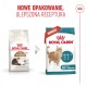 ROYAL CANIN Ageing 11+ - dry cat food - 2kg