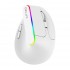 Delux M618DB mouse Office Right-hand RF Wireless + Bluetooth Optical 4000 DPI