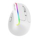 Delux M618DB mouse Office Right-hand RF Wireless + Bluetooth Optical 4000 DPI Delux M618DB mouse Office Right-hand RF Wireless + Bluetooth Optical 4000 DPI
