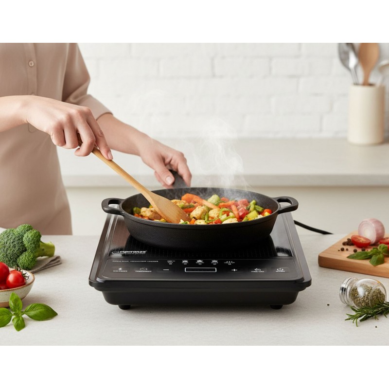Esperanza EKH011 Black induction cooker