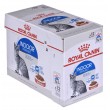 ROYAL CANIN FHN Indoor jelly - wet food for adult cats - 12x85g