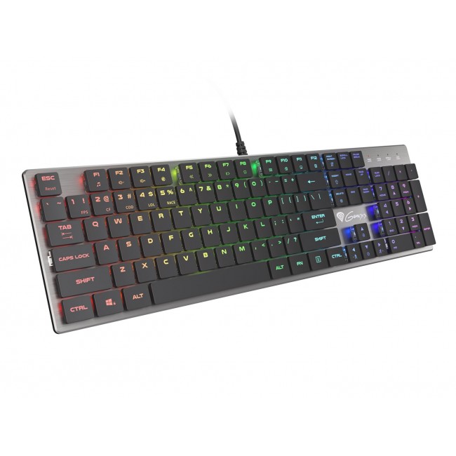 GENESIS Thor 420 RGB keyboard Gaming USB QWERTY US International Silver GENESIS Thor 420 RGB keyboard Gaming USB QWERTY US International Silver