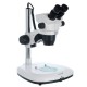 Levenhuk ZOOM 1B 45x Optical microscope