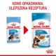 ROYAL CANIN Maxi Puppy SHN - wet dog food - 10x140g ROYAL CANIN Maxi Puppy SHN - wet dog food - 10x140g