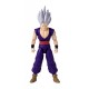 DRAGON BALL DRAGON STARS SON GOHAN BEAST (DBS SH)