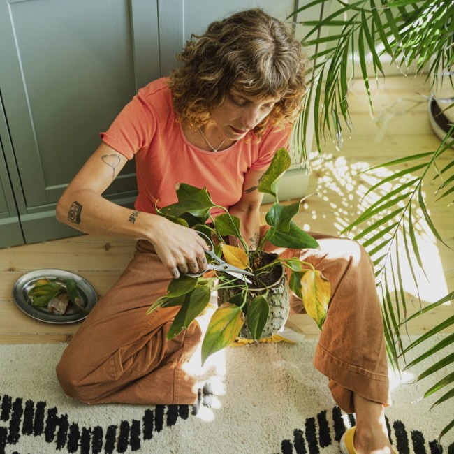 Plant Care Set for Plants 3 pcs