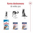 ROYAL CANIN Maxi Ageing Loaf - wet dog food - 410g