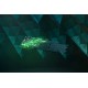 Razer RZ03-03941100-R3G1 keyboard Gaming USB QWERTZ German Black Razer RZ03-03941100-R3G1 keyboard Gaming USB QWERTZ German Black