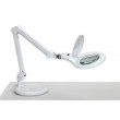 MAUL 8263602 table lamp White