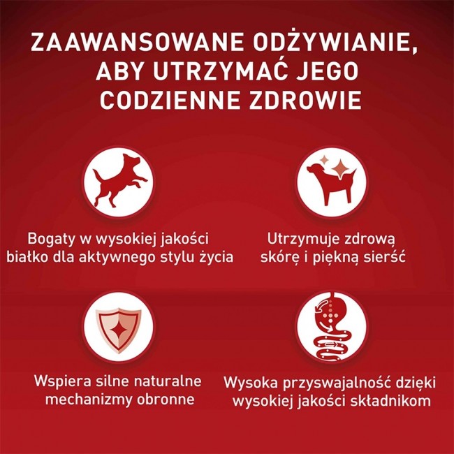 PURINA One Mini Adult Beef, Rice - Dry Dog Food - 800 g PURINA One Mini Adult Beef, Rice - Dry Dog Food - 800 g
