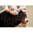 VIRBAC EpiOtic Ear Cleanser - ear care liquid for dogs and cats - 125ml