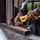 DeWALT DWE4997-QS die/straight grinder Straight die grinder 25000 RPM Black, Yellow 1300 W