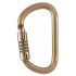 PETZL vulcan triact carabiner