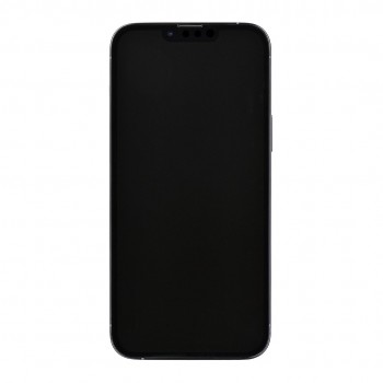 Apple iPhone 13 Pro Max 6.7