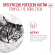 ROYAL CANIN Ageing 15+ - dry cat food - 2kg