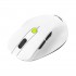 ASUS MD105 /VT-GN mouse Universal Right-hand RF Wireless + Bluetooth 2400 DPI