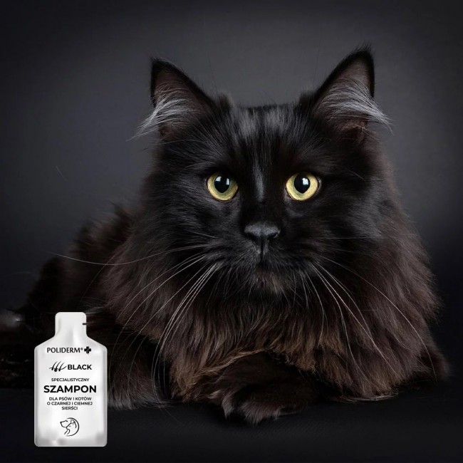 JM SANTE Poliderm Black - shampoo for dog and cat - 15 ml