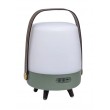 Kooduu Lite-up PLAY Mini Mono portable speaker Green, White, Wood 8 W