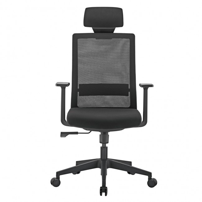 Premium Ergonomic Office Chair with High Back Ergo Office, max 150kg, ER-425 Premium Ergonomic Office Chair with High Back Ergo Office, max 150kg, ER-425