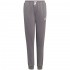 adidas Entrada 22 Sweat Pants grey H57519 164cm