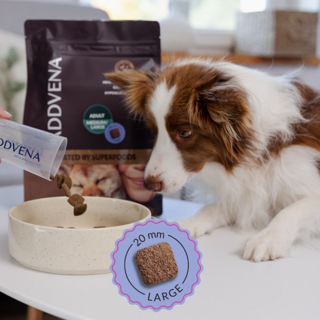 ADDVENA Boosted by superfoods Adult Medium/Large Beef - dry dog food - 2,5kg ADDVENA Boosted by superfoods Adult Medium/Large Beef - dry dog food - 2,5kg