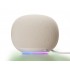 Google Home Speaker