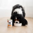 PAKA ZWIERZAKA PEPE Venison mono - wet dog food - 400g