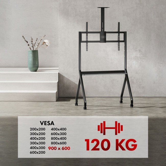 Maclean TV stand / cart, camera shelf, on casters, 55-100