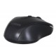 Extreme XM104K mouse USB Type-A Optical 1000 DPI On the right side