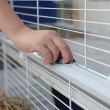 FERPLAST Barn 80 - Cage
