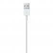 Apple Lightning to USB Cable (2 m) Apple Lightning to USB Cable (2 m)