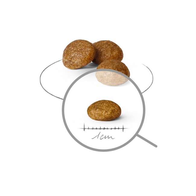 ROYAL CANIN Adult x- small SHN - dry dog food - 1,5kg