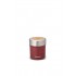 Thermos PRIMUS vacum jug 700-ox red