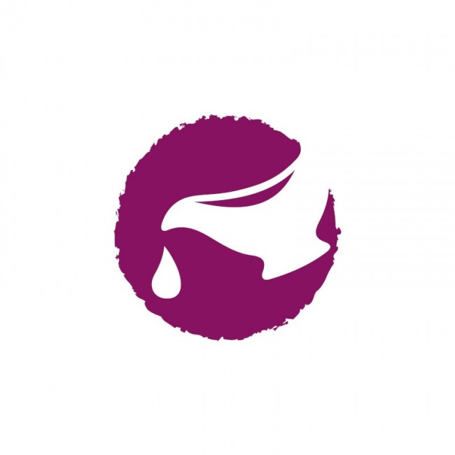 JOSERA Mini Salmon & Chicken - dry dog food - 10kg