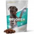 GELOREN Large dog Joints - dog vitamins - 420g