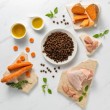 VETEXPERT Raw Paleo Ultra Medium&Large Adult Turkey - dry dog food - 10 kg