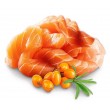 SHELMA Kitten with salmon in sauce - wet cat food - 85g SHELMA Kitten with salmon in sauce - wet cat food - 85g