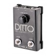 TC Helicon Ditto Mic Looper - microphone looper