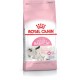 Royal Canin Mother & Babycat cats dry food 2 kg Royal Canin Mother & Babycat cats dry food 2 kg