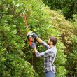 Hedge trimmer 500 watts, 55 centimeters, blade spacing 22 mm